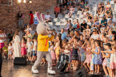 Brandnyúl mini disco